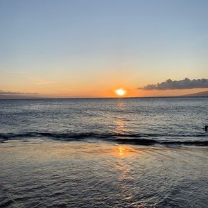 Meet your Posher, Stella